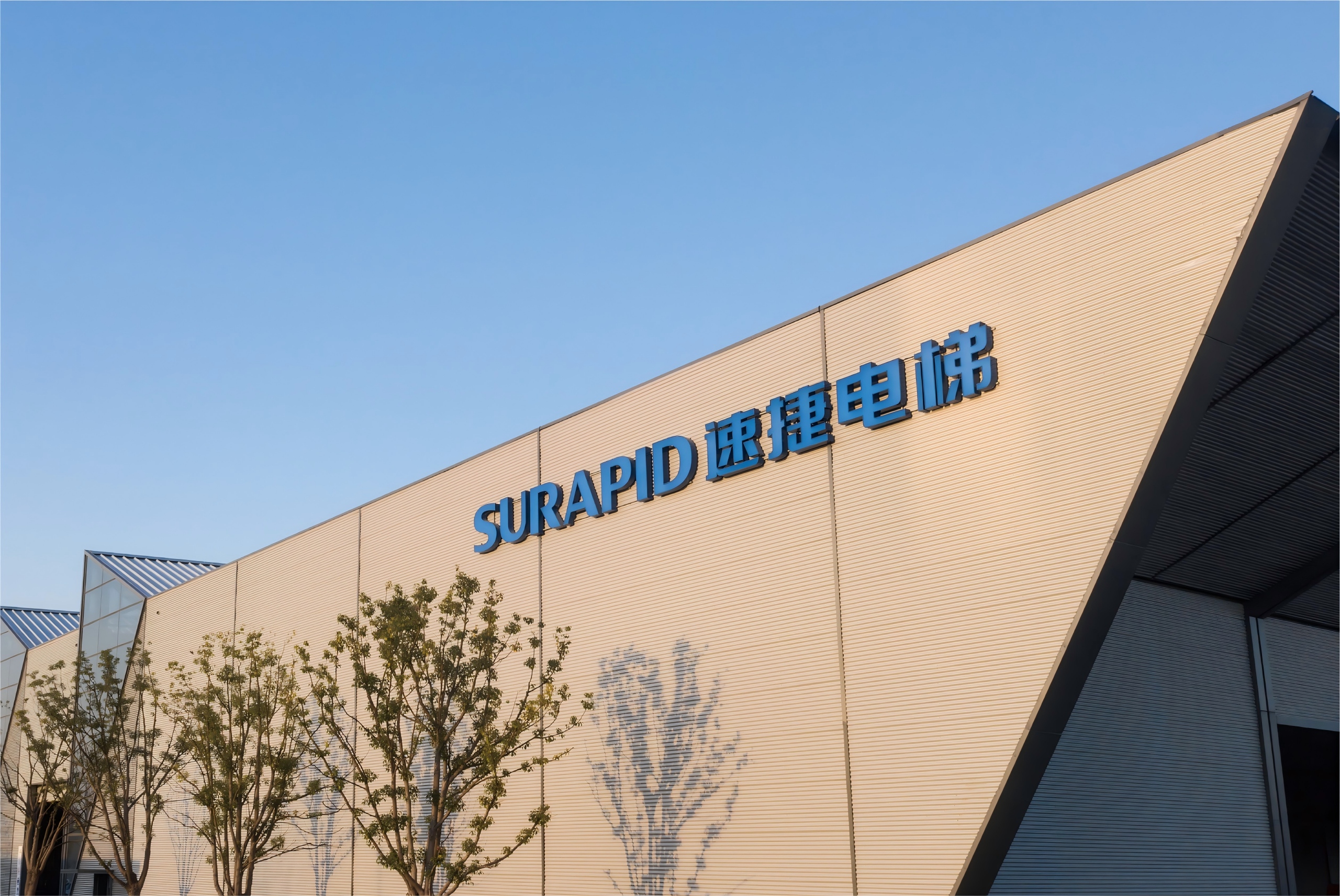 Advances In The Immune Response And Treatment Of Intervertebral Discs