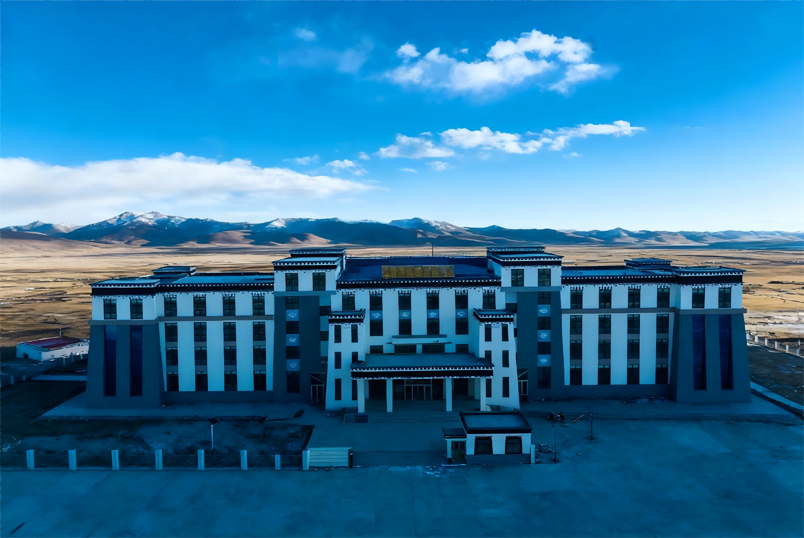 Advances In The Immune Response And Treatment Of Intervertebral Discs