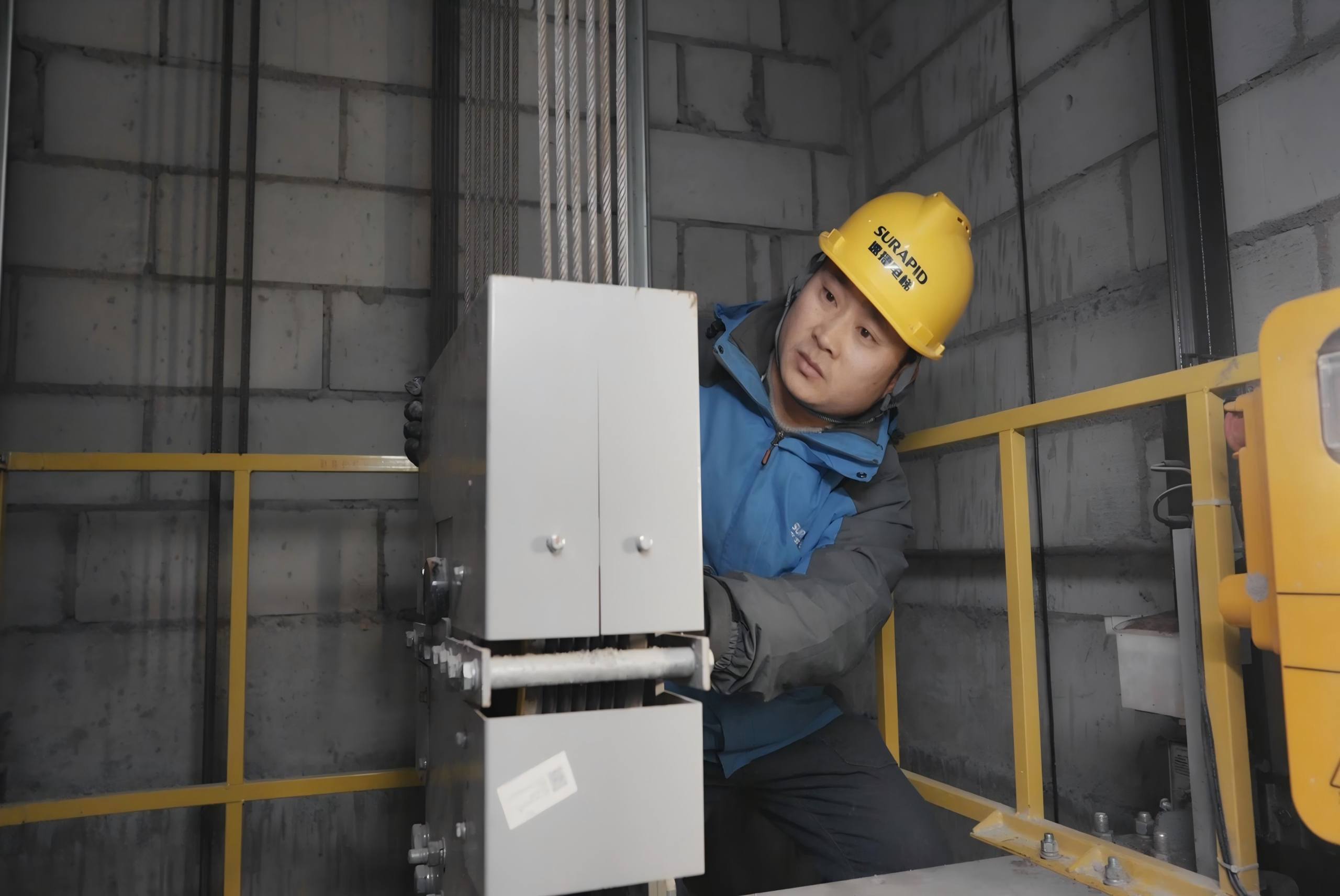 Advances In The Immune Response And Treatment Of Intervertebral Discs