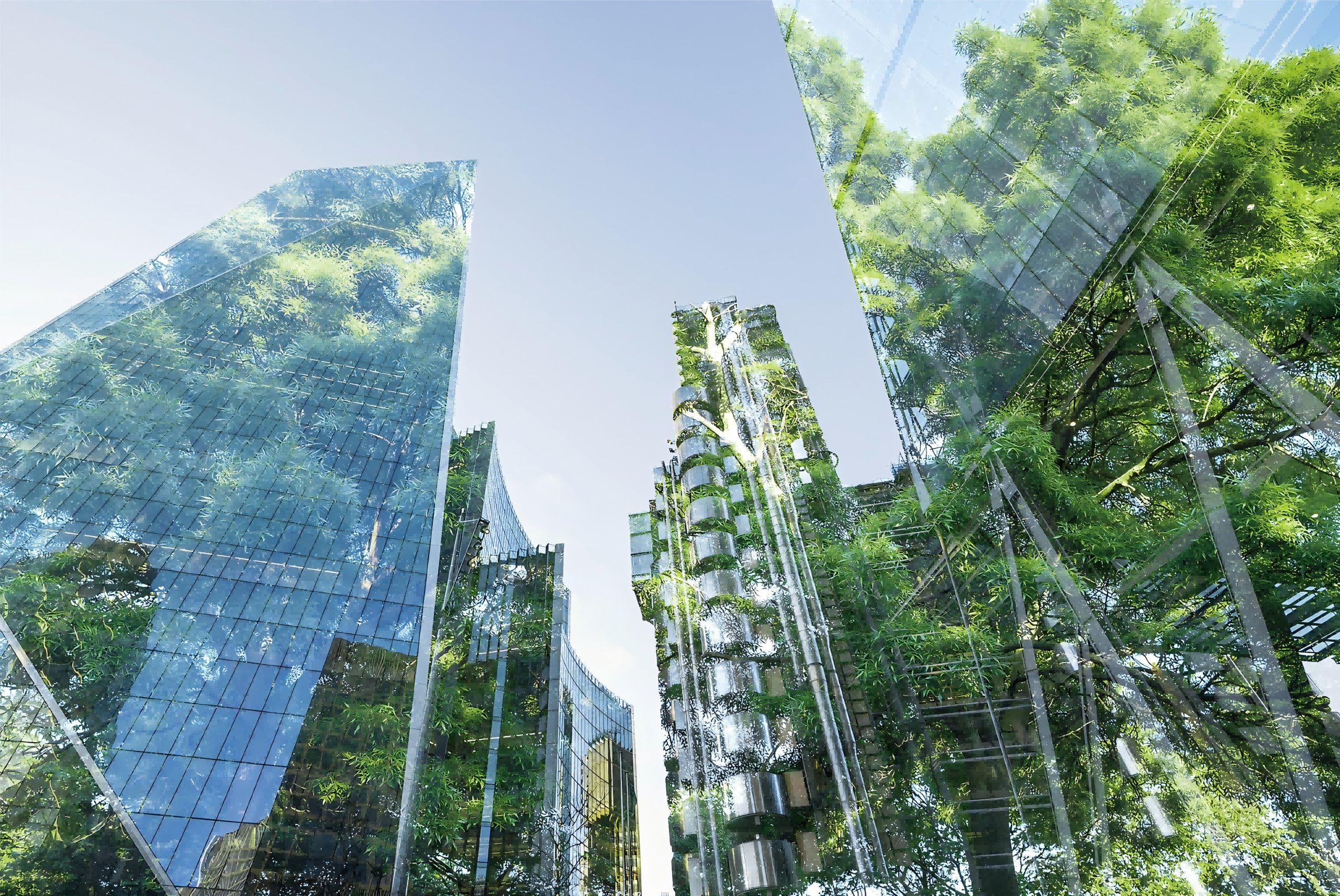 Advances In The Immune Response And Treatment Of Intervertebral Discs