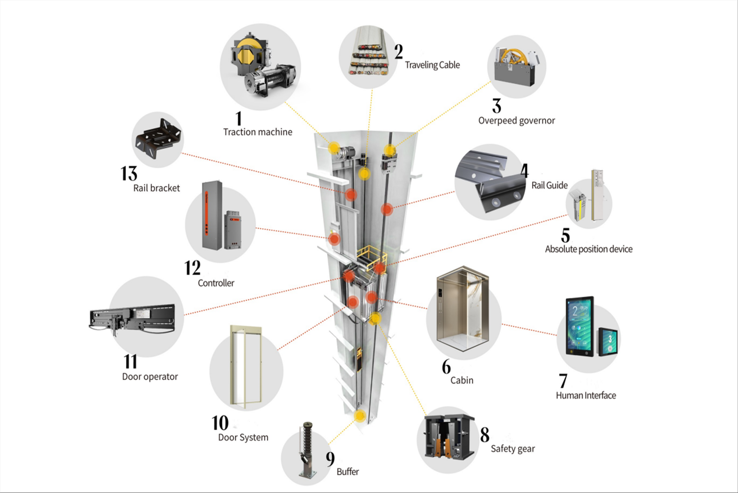 Advances In The Immune Response And Treatment Of Intervertebral Discs