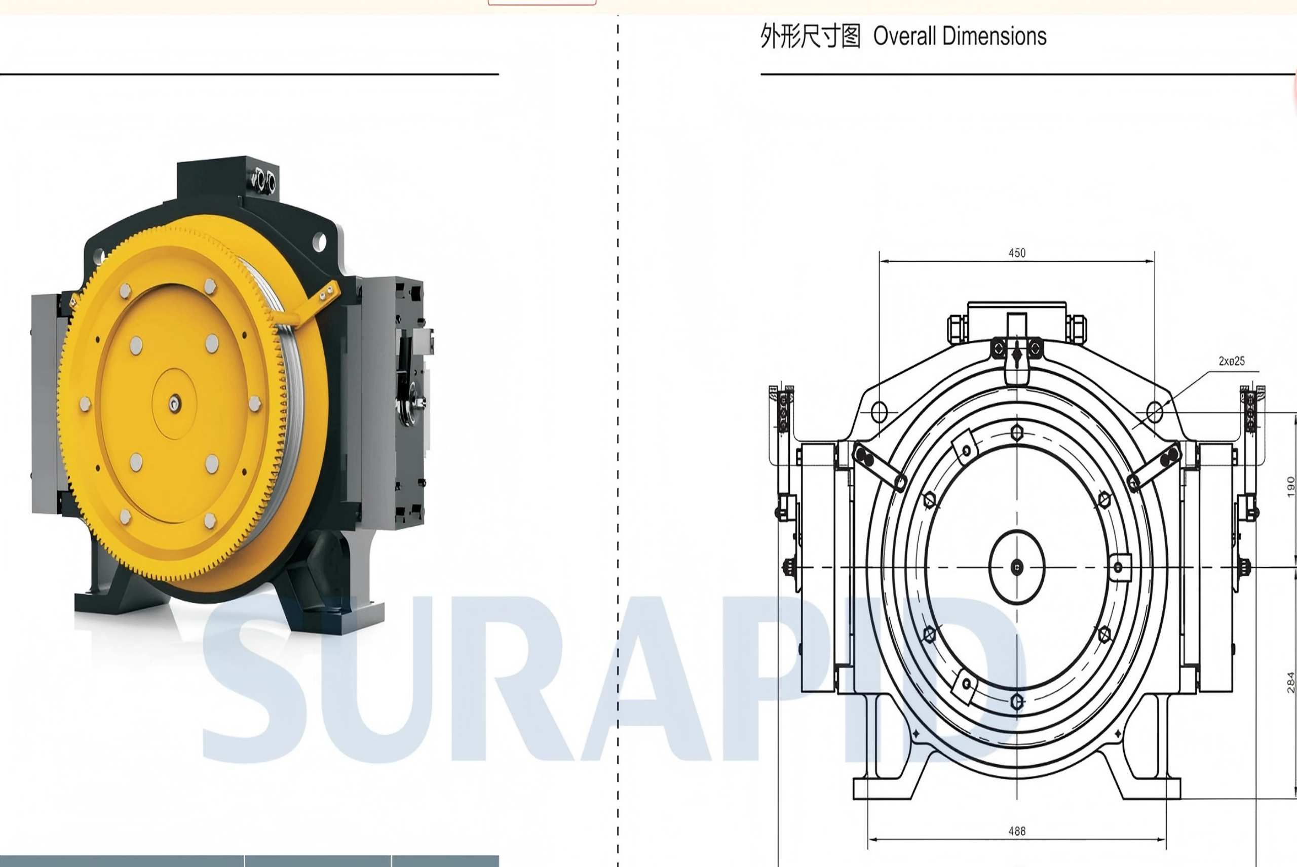 Advances In The Immune Response And Treatment Of Intervertebral Discs