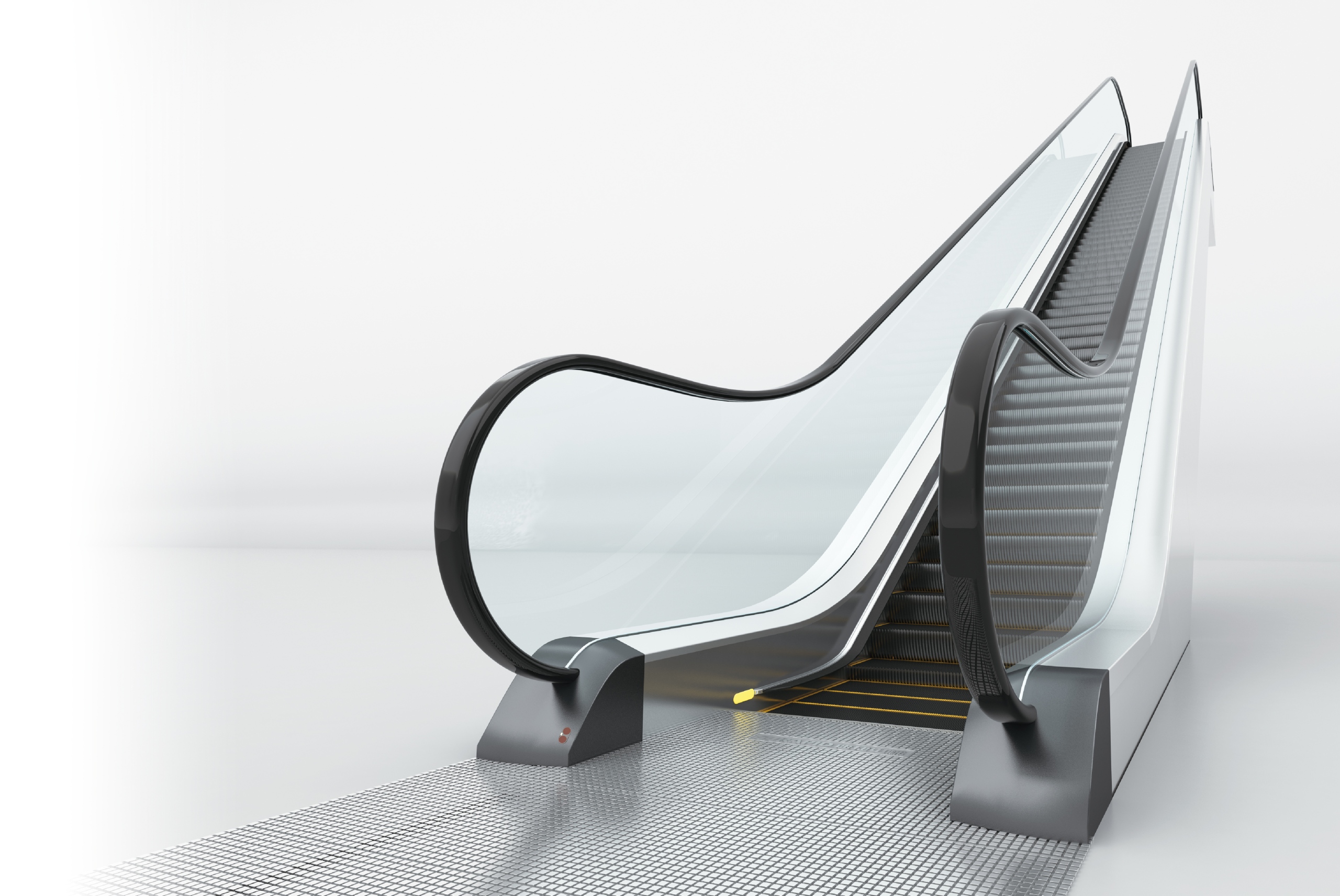 Advances In The Immune Response And Treatment Of Intervertebral Discs