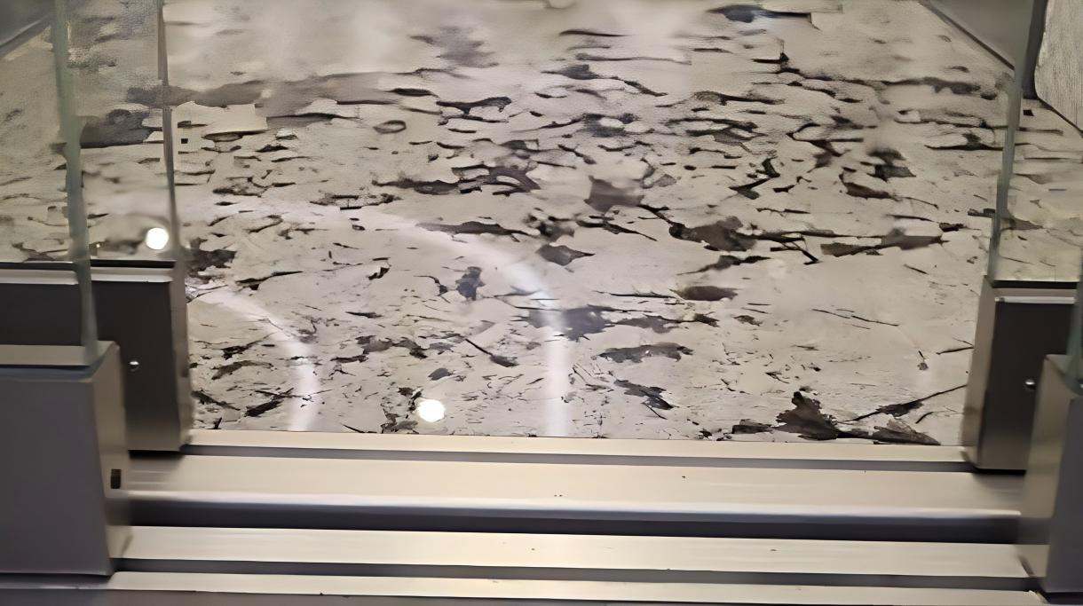 1776149202775343.jpg SURAPID Abosulte position.jpg